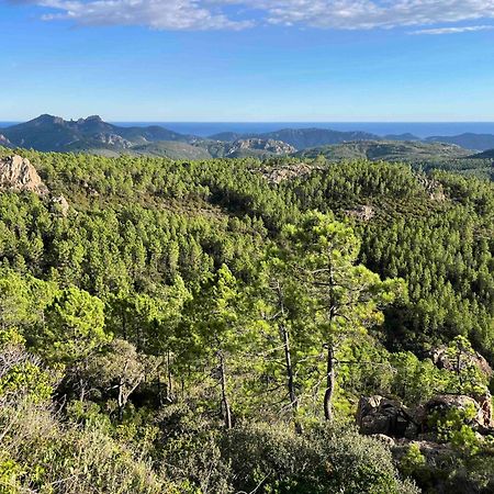 Villa Ormarine, Vue Exceptionnelle Sur La Baie De Cannes Et Le Mercantour لي آدريه دي لستيريل المظهر الخارجي الصورة