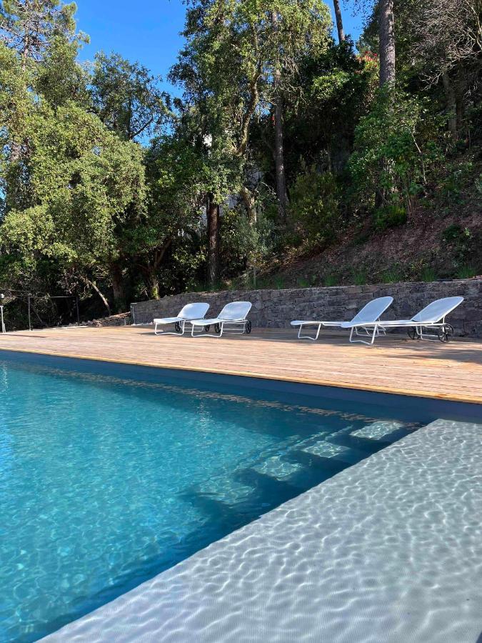 Villa Ormarine, Vue Exceptionnelle Sur La Baie De Cannes Et Le Mercantour لي آدريه دي لستيريل المظهر الخارجي الصورة